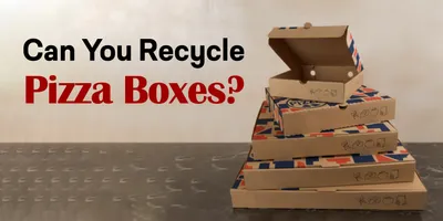 Can You Recycle Pizza Boxes