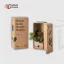 Eco Friendly Corrugated Boxes Wholesale Supplier